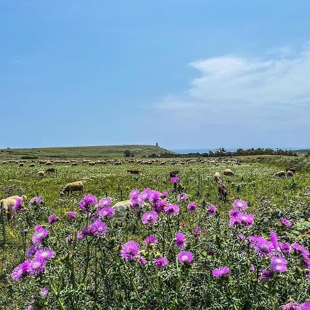 Casetta Degli Ulivi Uggiano La Chiesa Dış mekan fotoğraf