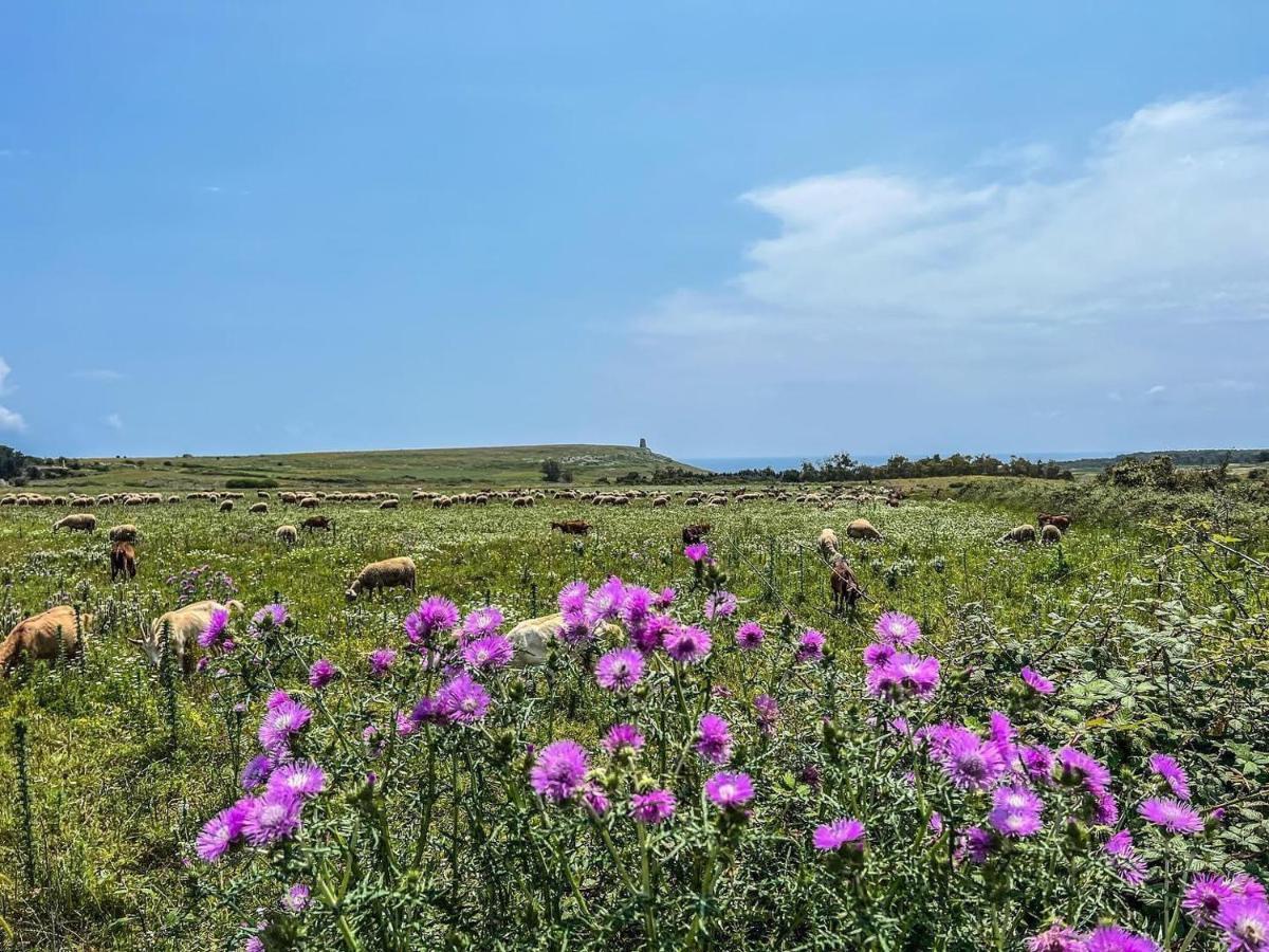 Casetta Degli Ulivi Uggiano La Chiesa Dış mekan fotoğraf